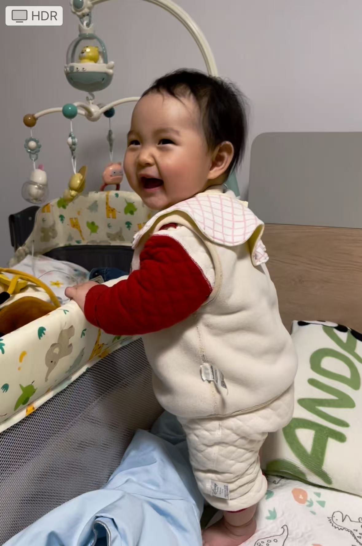 小海豚能自己站起来了