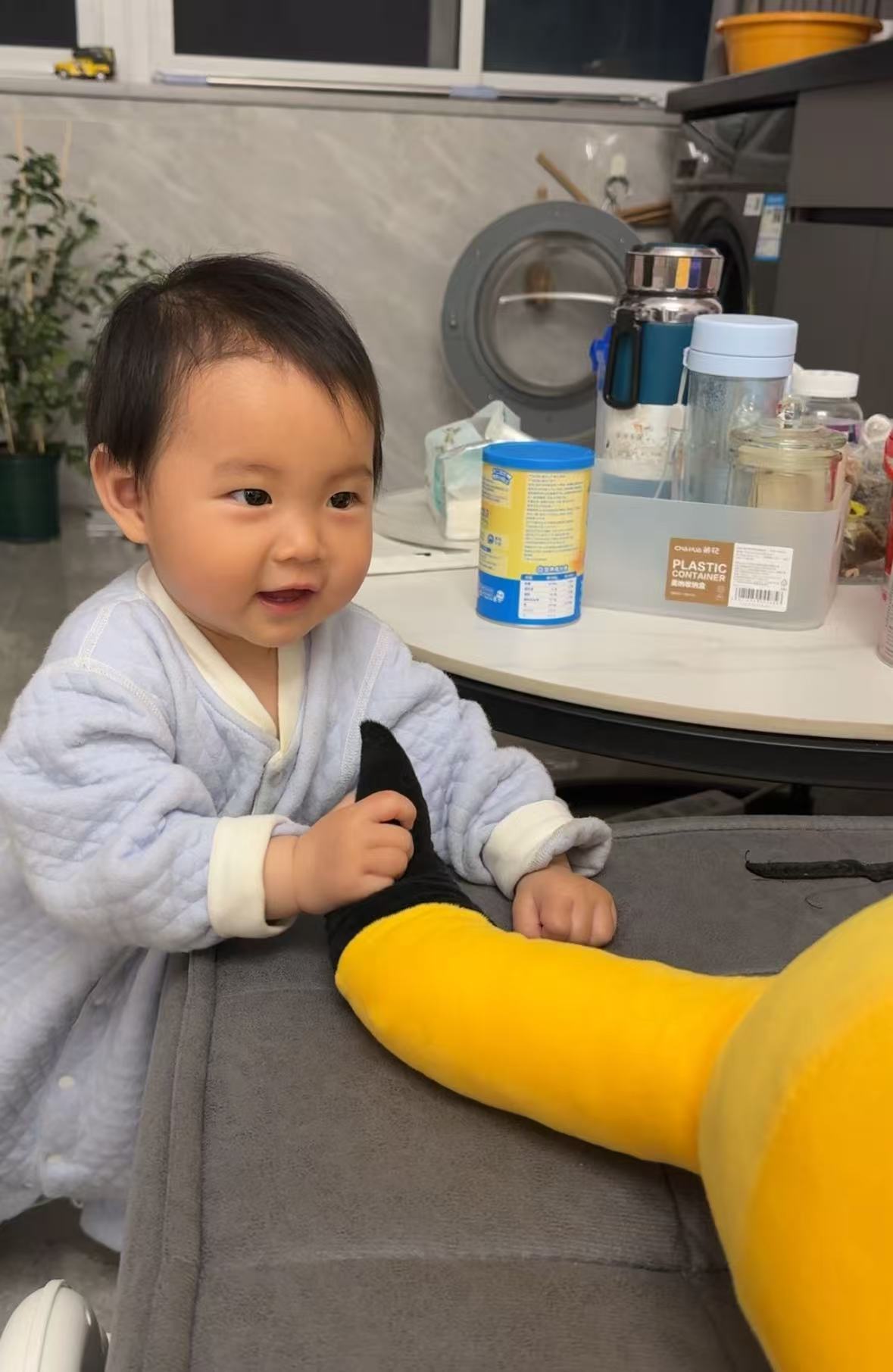 小海豚自娱自乐
