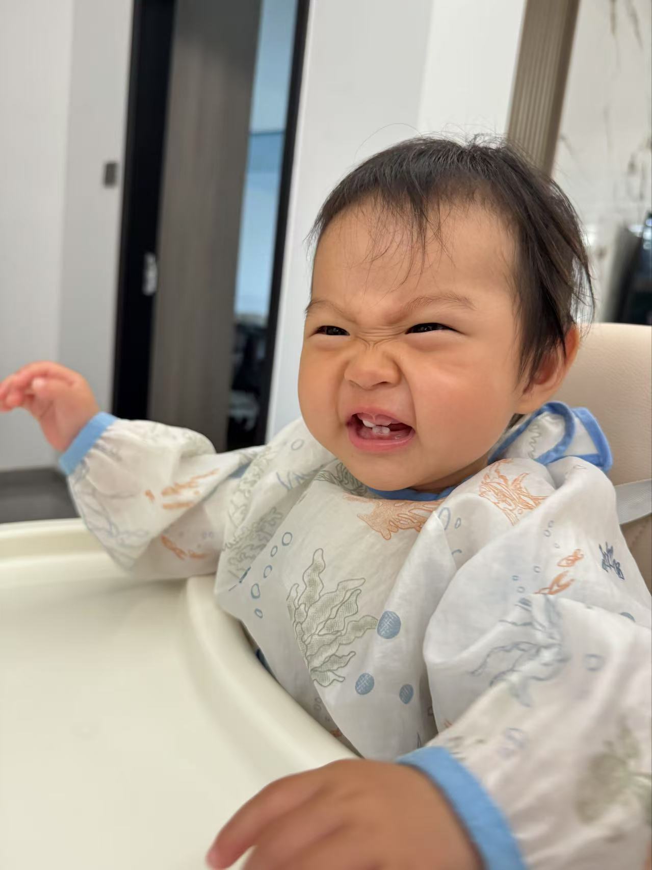 小海豚鼻子皱的有点像徐志胜