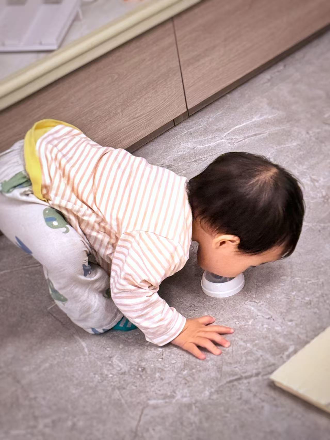 人类幼崽如何认识世界