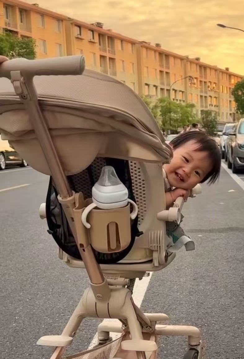 小海豚回眸一笑