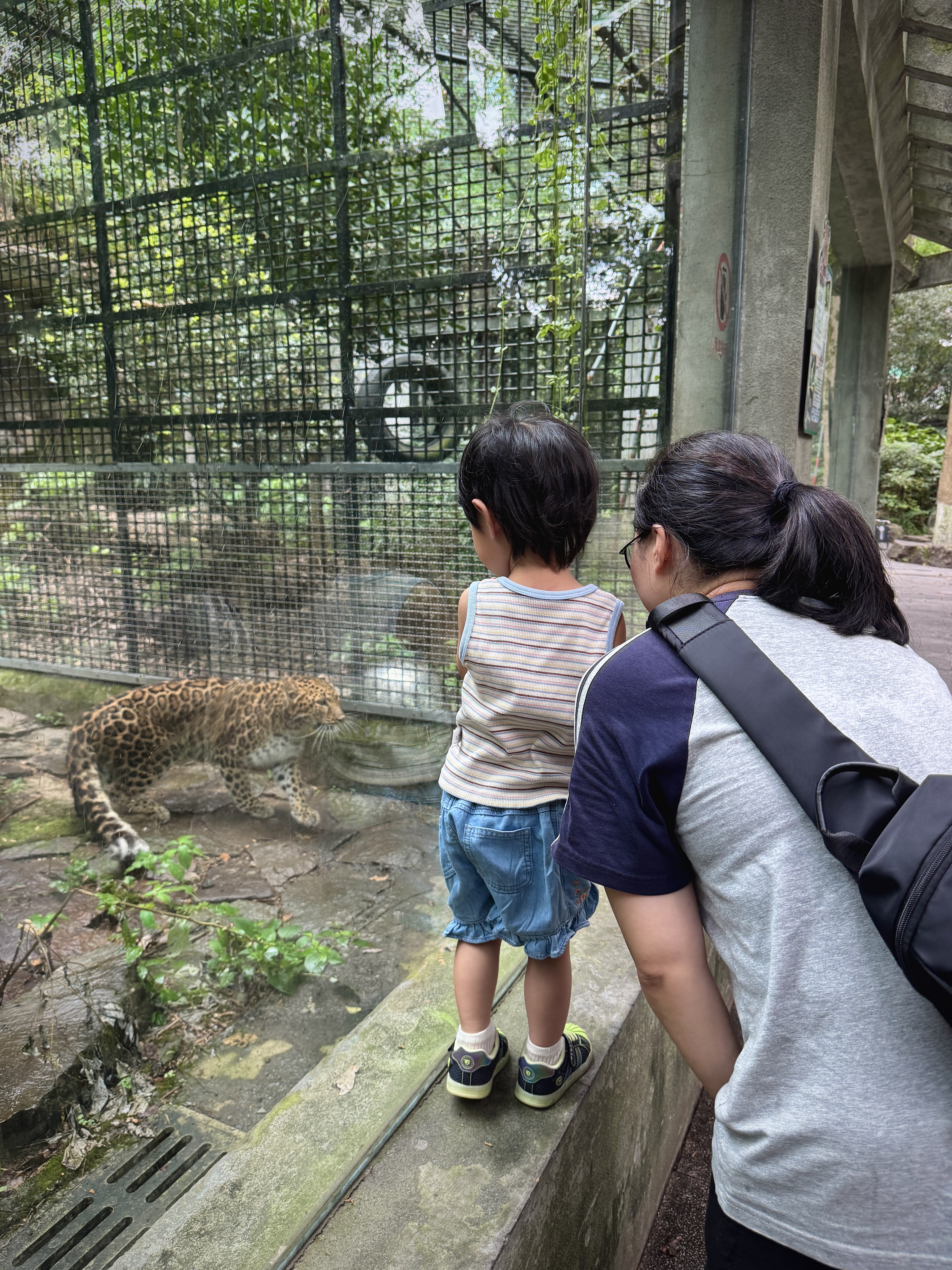 城隍阁上,远眺西湖