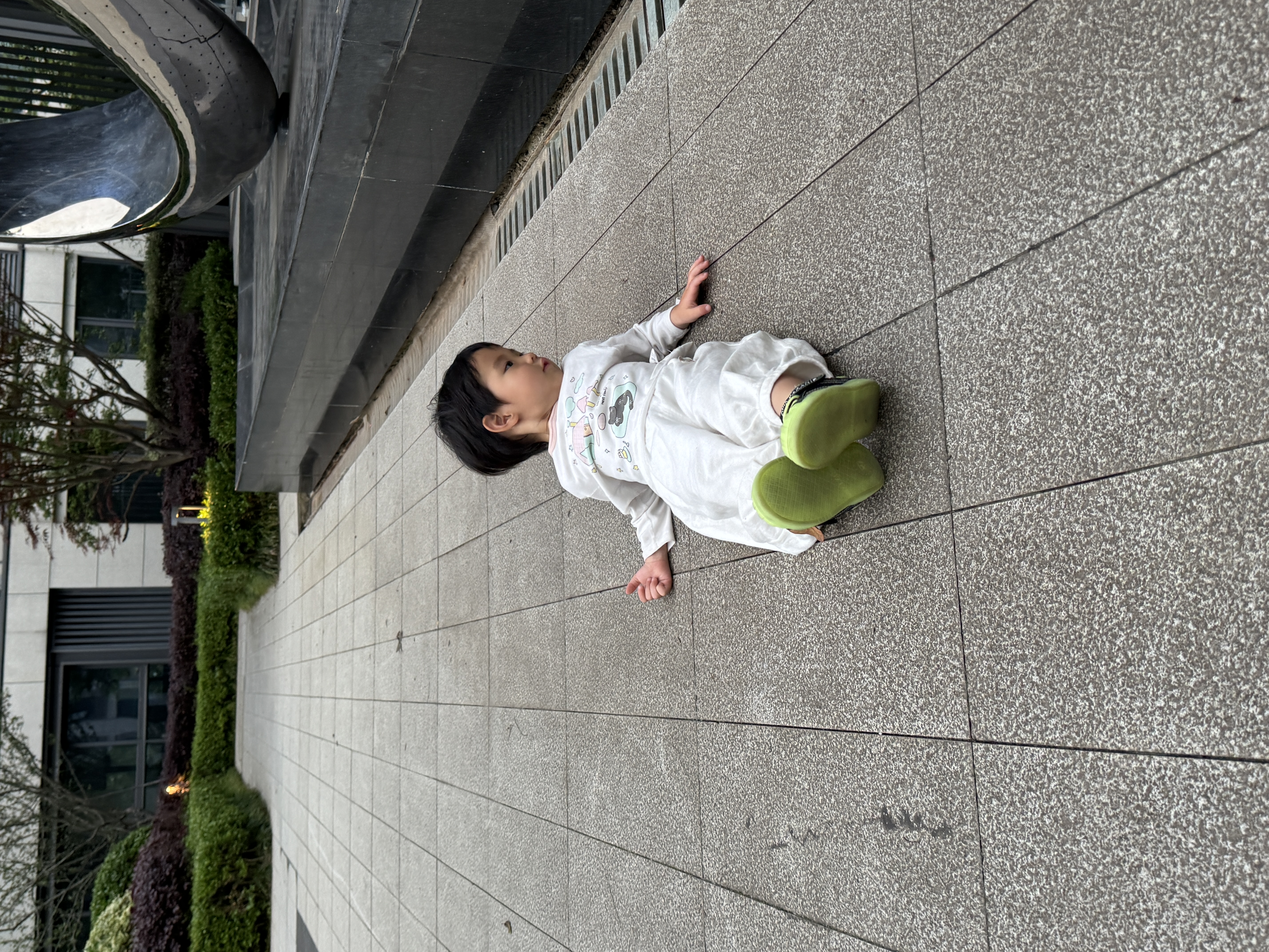 IMG_8717.jpeg