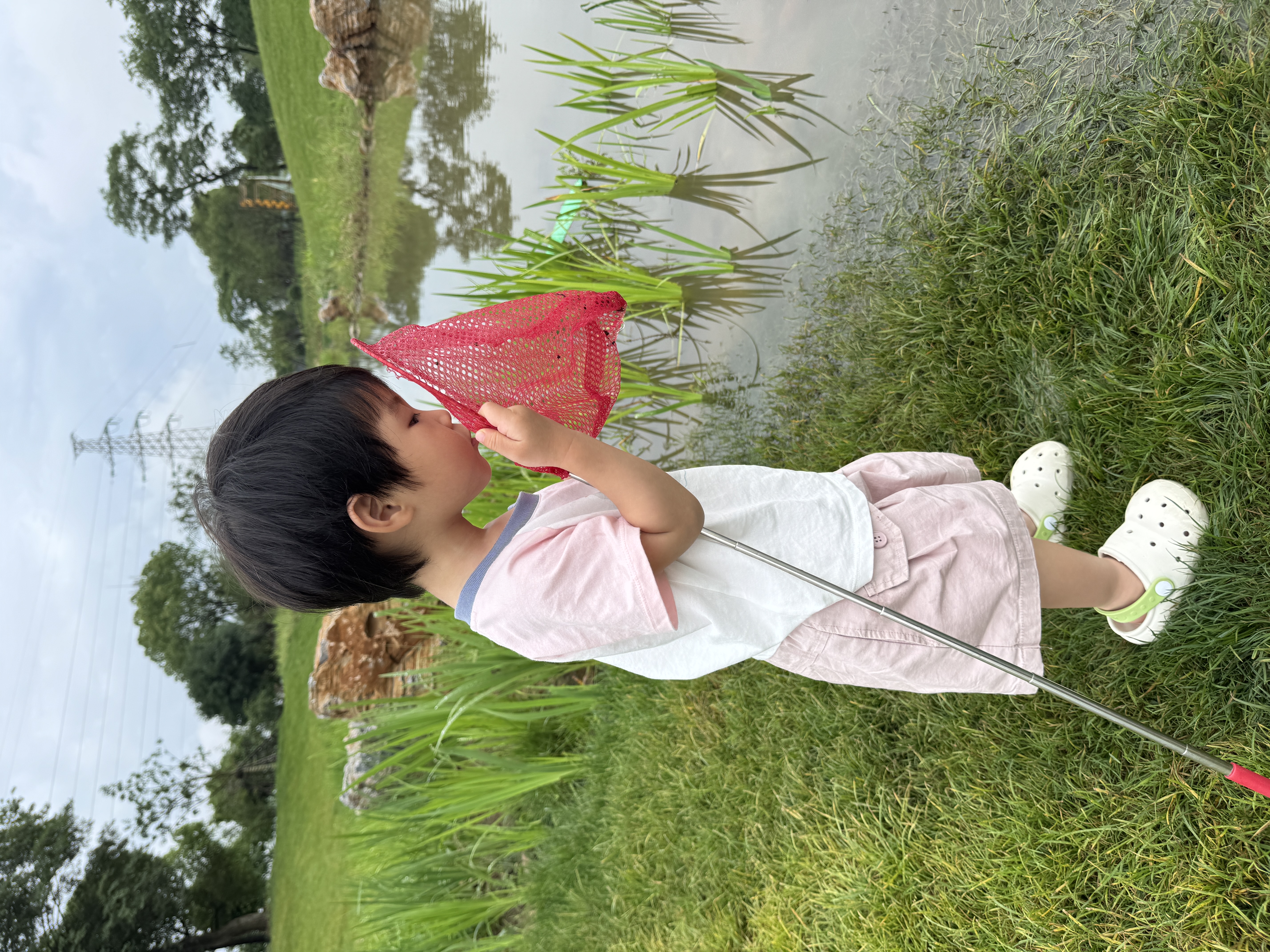 让我看看
