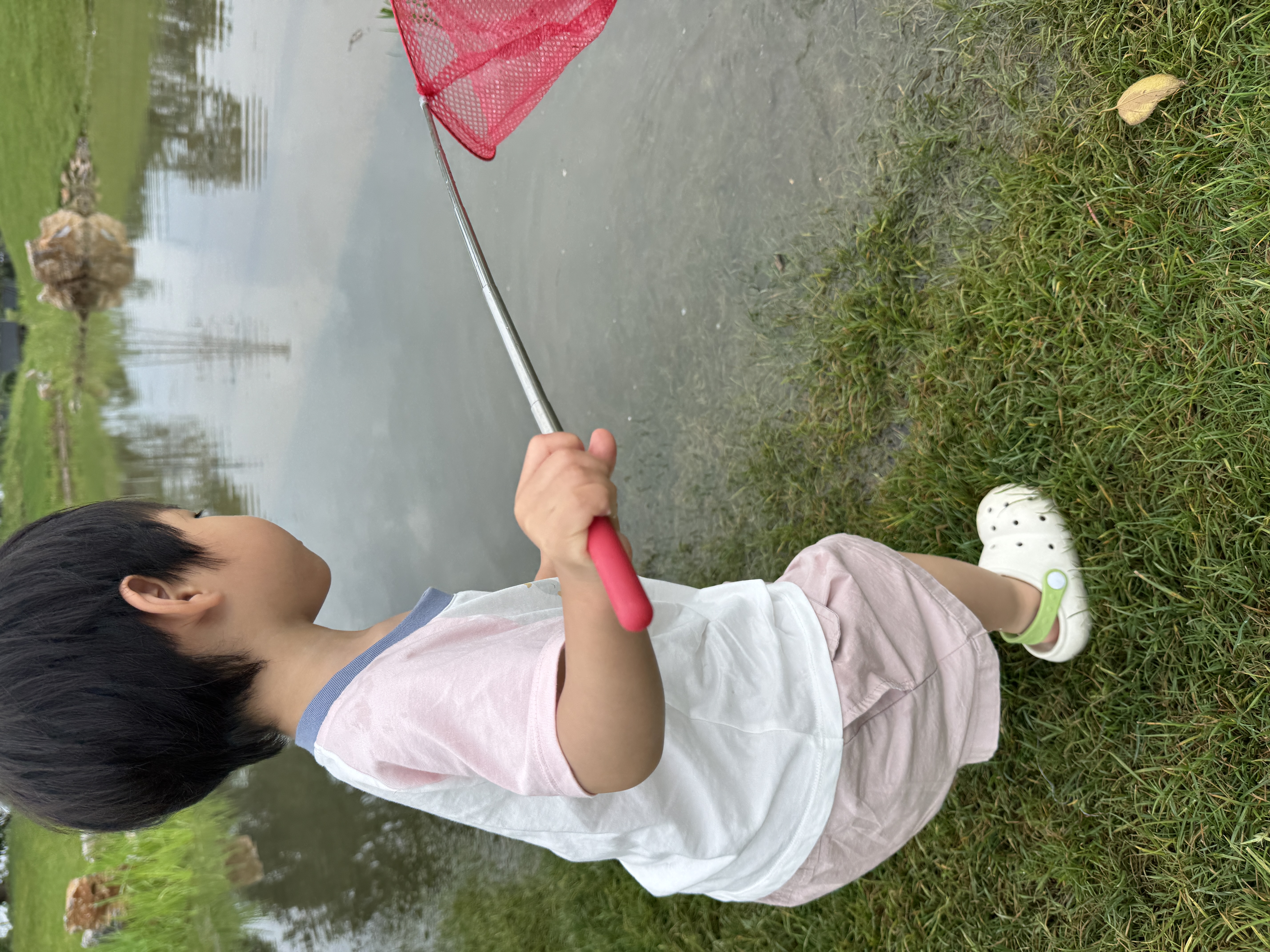 IMG_9336.jpeg