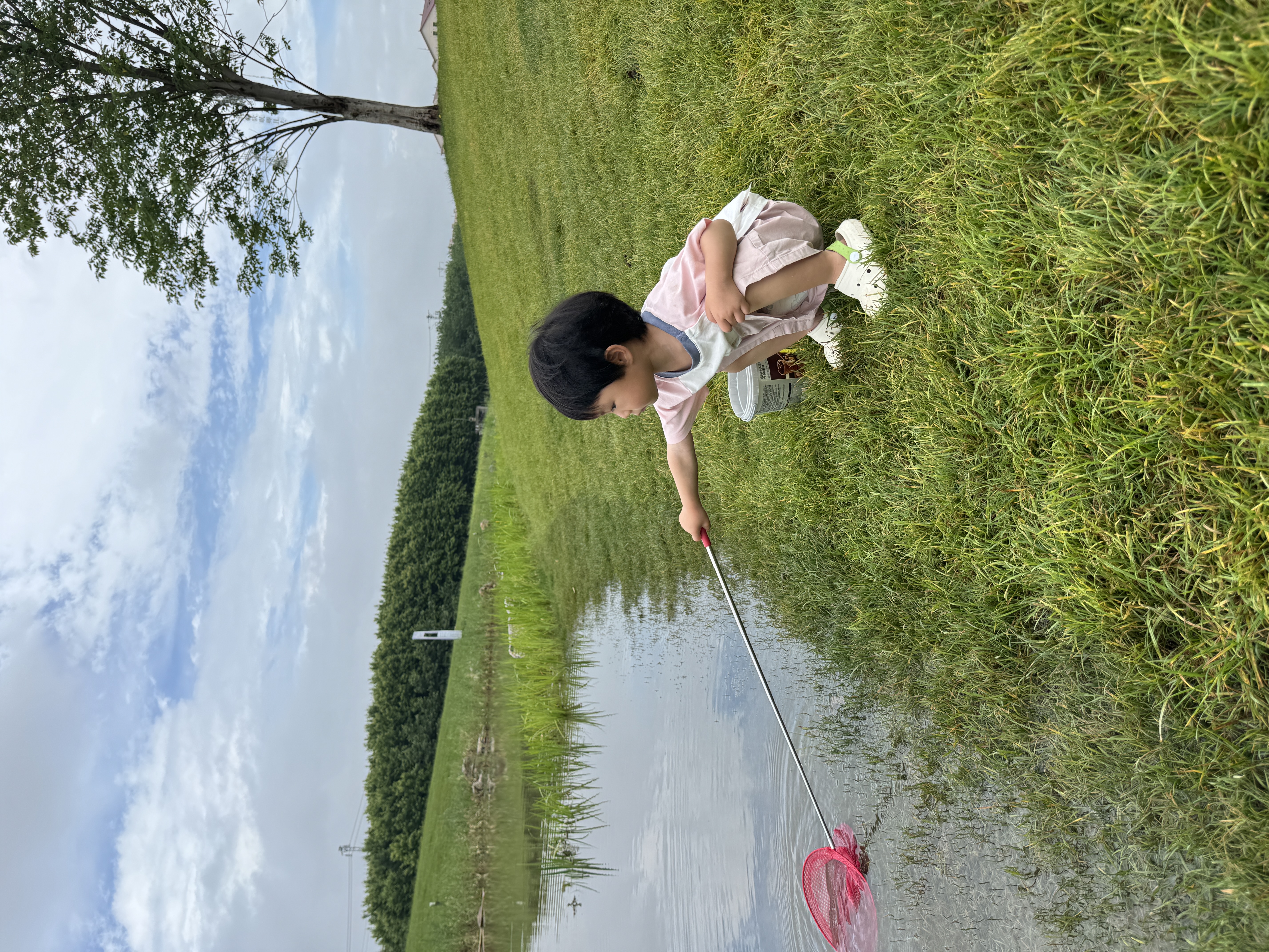 IMG_9341.jpeg